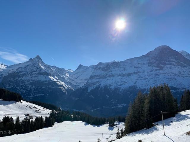 Апартаменти Grindelwald-Sunneblick Екстер'єр фото